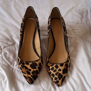 ANTONIO MELANI Leopard Print Pointed Toe Pumps in Black and Tan